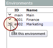 Edit this environment chevron.