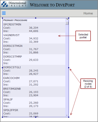 Selected portlet with blue border.
